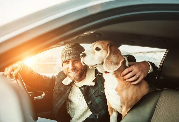 Człowiek Podróżujący Swoim Psem Beagle Samochodem — Zdjęcie stockowe