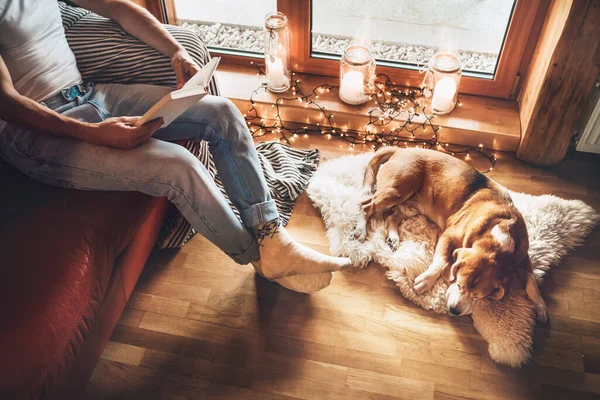 Hombre Leyendo Libro Sofá Acogedor Cerca Deslizar Perro Beagle Piel — Foto de Stock