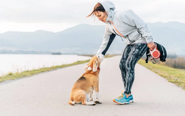 Jeune Coureuse Dressant Son Chien Beagle Avant Exercice Matinal Cannecross — Photo