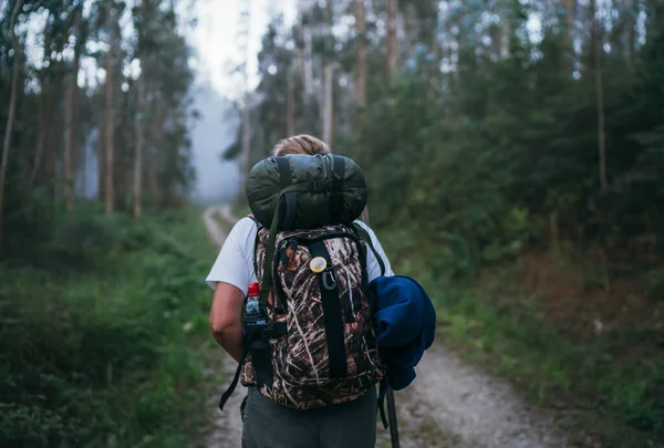 Jakobsweg Pilgerin Backpacker Weiblich Auf Dem Weg Durch Den Eukalyptuswald — Stockfoto