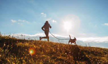Güneşli bir sabahta av köpeğiyle koşan bir adam. Sağlıklı yaşam tarzı ve Canicross egzersizleri koşu konsepti görüntüsü.