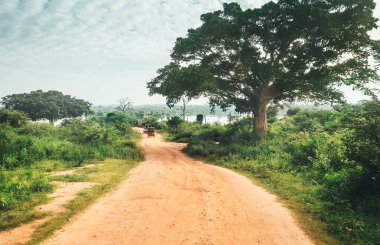 Ulusal doğa parkı Udawalawe, Sri Lanka 'daki tozlu safari yolu manzarası. Etkin tatil konsepti resmi.