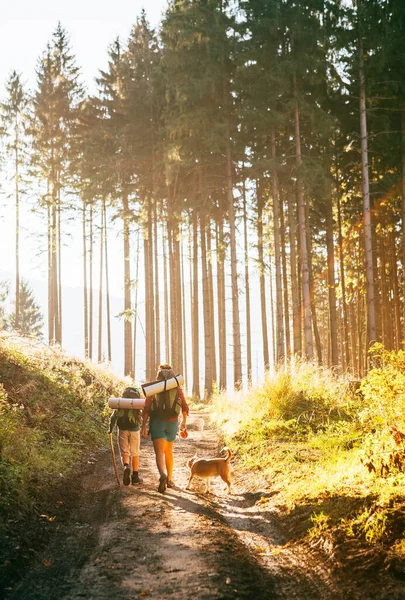 Madre Hijo Con Perro Beagle Miembro Familia Caminando Por Sendero — Foto de Stock