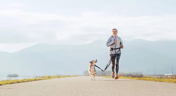 Bright Ensolarado Morning Canicross Exercícios Feminino Corre Com Seu Cão — Fotografia de Stock