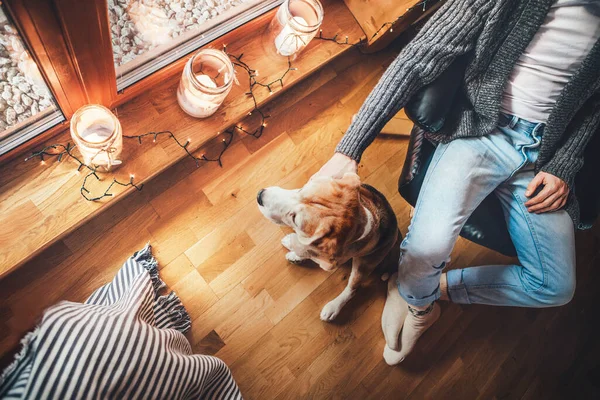 Man Zit Stoel Buurt Van Groot Raam Gezellig Landhuis Strelen — Stockfoto