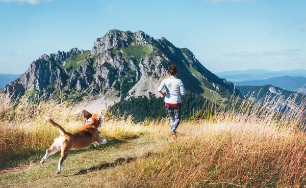 Dişi Köpeğinin Arka Görüşüyle Dağcılık Yolunda Koşuyor Canicross Sağlıklı Yaşam — Stok fotoğraf