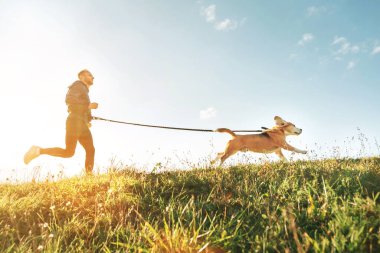 Canicross egzersizleri. Adam av köpeğiyle koşuyor. Evcil hayvanlarla açık hava spor aktivitesi