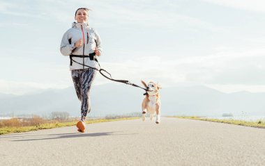 Canicross exercises. Female runs with his beagle dog and happy smiling. Autumn spring outdoor sport activity clipart