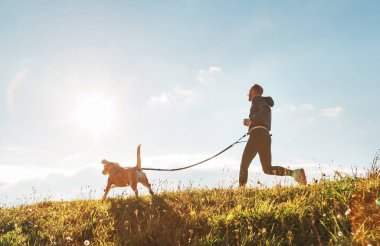 Canicross egzersizleri. İnsan güneşli bir sabahta av köpeğiyle koşar.
