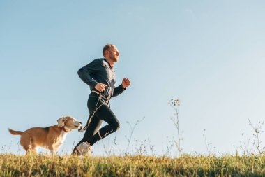 Hayvanla spor aktivitesi. Canicross egzersizleri. Adam av köpeğiyle koşuyor. 