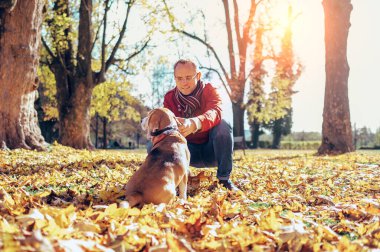 İnsan güneşli bir günde sonbahar parkında av köpeğiyle yürür.
