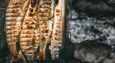 Taze ızgara alabalık arka planı