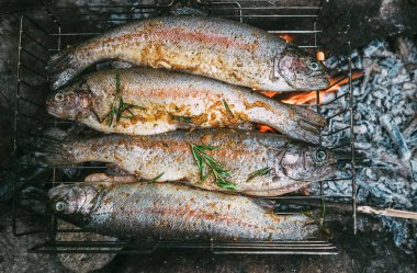 Baharatlı ve otlu taze alabalıklar kamp ateşinin üzerinde ızgara yapıyor.