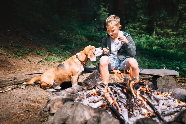 Menino Com Cão Beagle Tem Piquenique Perto Fogueira Clareira Floresta — Fotografia de Stock