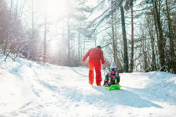 父亲带着雪橇和他的小女儿在冬季森林的雪坡上 — 图库照片