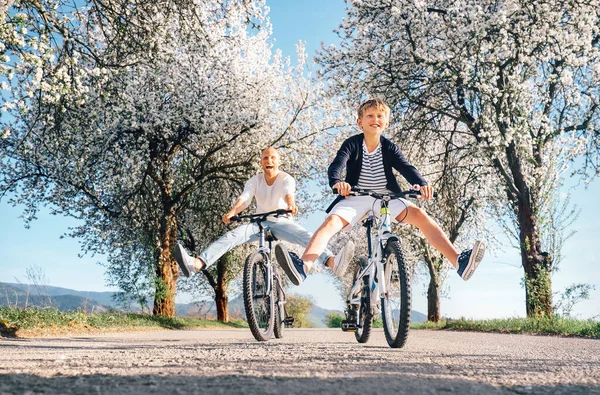 桜の木で田舎道を自転車に乗ると父と息子は楽しいです — ストック写真