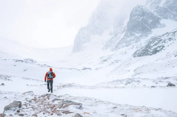 Klimmer Wandelt Alleen Hoge Bergen Bij Winderig Sneeuwweer — Stockfoto