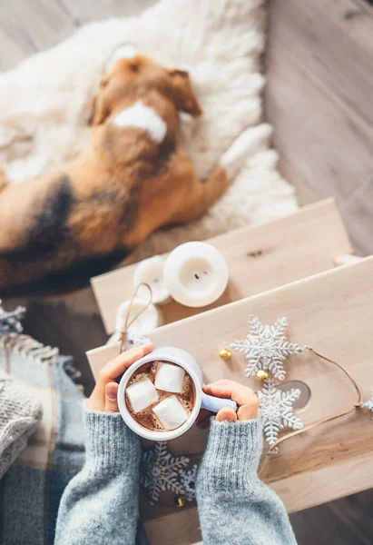 Donna Mani Con Tazza Cioccolata Calda Close Immagine Accogliente Casa — Foto Stock