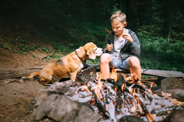 Junge Mit Beagle Hund Picknicken Lagerfeuer Auf Waldlichtung — Stockfoto