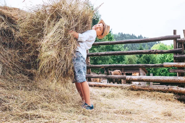 少年は農場で助けてくれる 家畜用の干し草を持ってきて — ストック写真
