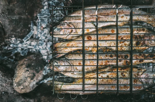 Horní Pohled Pstruzi Grilovací Mřížce Krbu — Stock fotografie