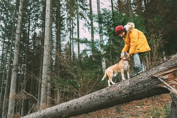 身穿鲜艳黄色长袍的男孩和他的小猎犬在松树林中的倒下的树上散步 — 图库照片