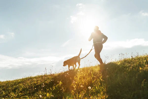 Ejercicios Canicross Soleados Brillantes Mañana Hombre Corre Con Perro Beagle — Foto de Stock