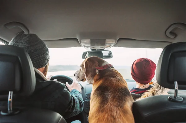 Oğlu Köpeği Olan Baba Arka Koltuklarda Birlikte Seyahat Ediyor Geniş — Stok fotoğraf