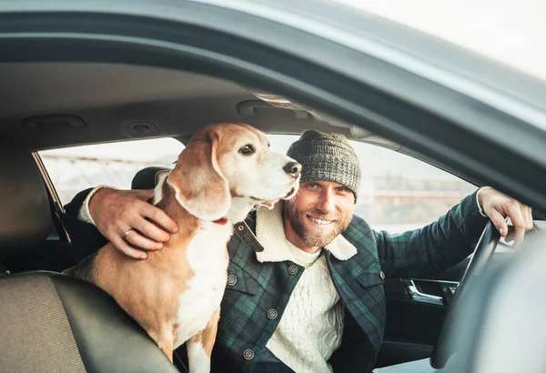 Uomo Che Viaggia Con Suo Cane Beagle Auto — Foto Stock