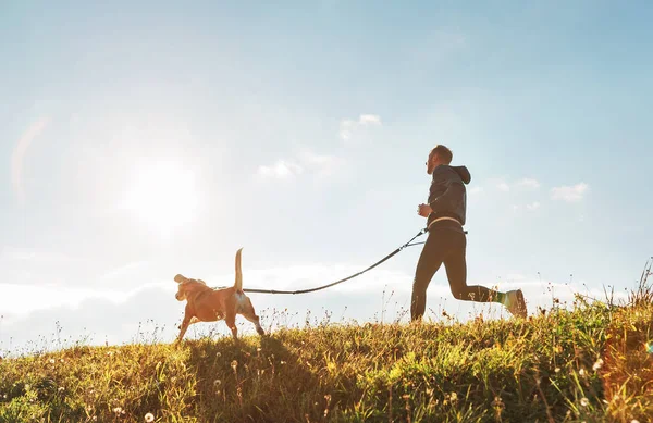 Canicross Egzersizleri Nsan Güneşli Bir Sabahta Köpeğiyle Koşar — Stok fotoğraf