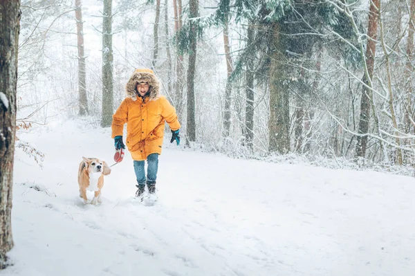 Boy Bright Yellow Parka Walks His Beagle Dog Snowy Pine — Stock Photo, Image