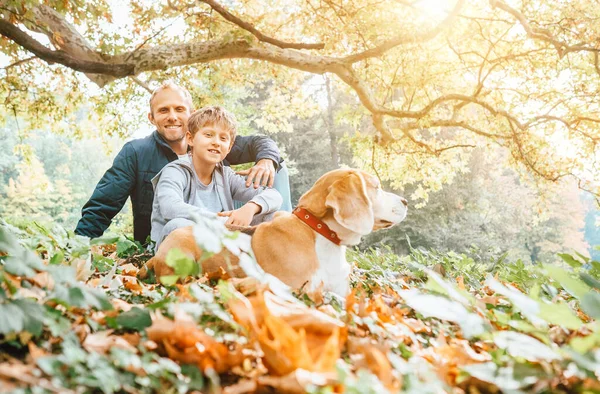 Vater Sohn Und Beagle Hund Spazieren Herbstpark Warmer Indischer Sommertag — Stockfoto