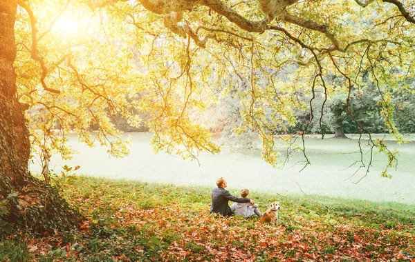 Fader Med Son Med Beagle Hund Och Njuta Varm Höstdag — Stockfoto