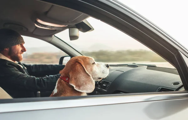 Sıcak Giyimli Adam Yardımcı Sürücü Koltuğunda Oturan Köpeğiyle Modern Arabanın — Stok fotoğraf