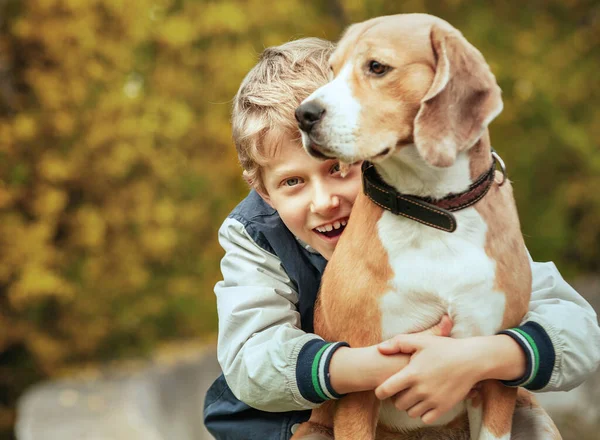 Feliz Menino Sorridente Abraça Seu Melhor Amigo Cão Beagle — Fotografia de Stock