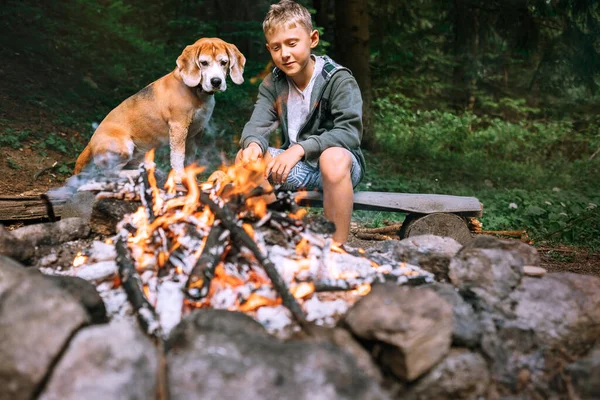 Boy Beagle Dog Roast Food Campfire — Stock fotografie