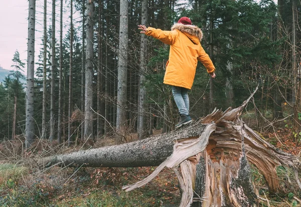 Fényes Sárga Kabátos Fiú Fenyőerdőben Sétál Egyensúlyozva Lehulló Fán Emberek — Stock Fotó
