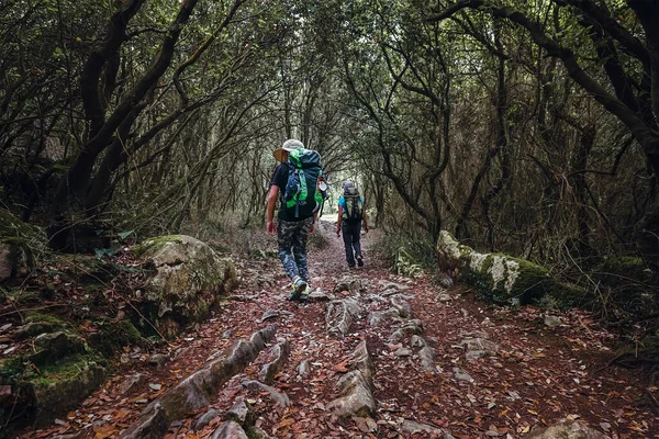 Two Backpackers Walk Fairy Tale Forest — Stock Photo, Image