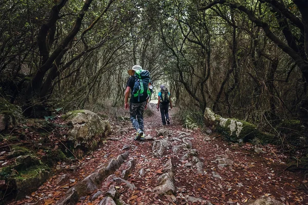 Två Backpackers Promenad Sagoskog — Stockfoto