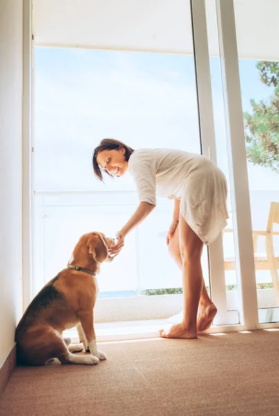 Frau Mit Ihrem Beagle Hund Verbringt Den Morgen Auf Der — Stockfoto