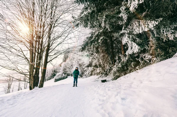 雪の森を歩く少年 — ストック写真