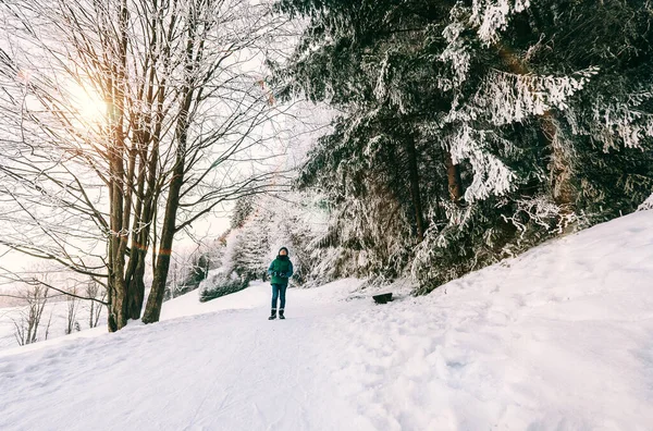 Niño Camina Bosque Nieve — Foto de Stock