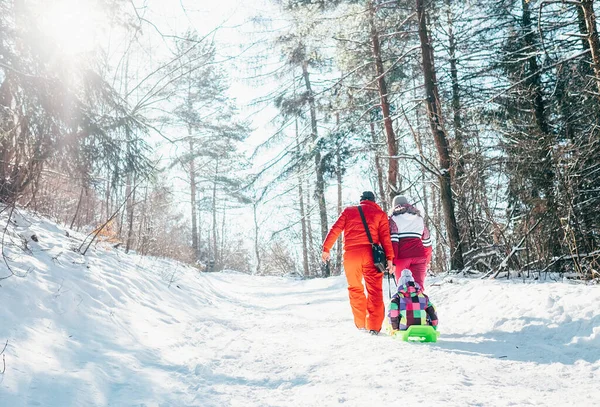 Familjen Har Aktiv Vandring Vinterskogen Mor Och Far Drar Släden — Stockfoto