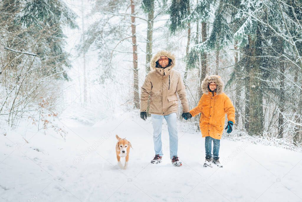 Father and son dressed in Warm Hooded Casual Parka Jacket Outerwear walking in snowy forest with his beagle dog in pine forest. Family walking with pets and winter outfit concept image.