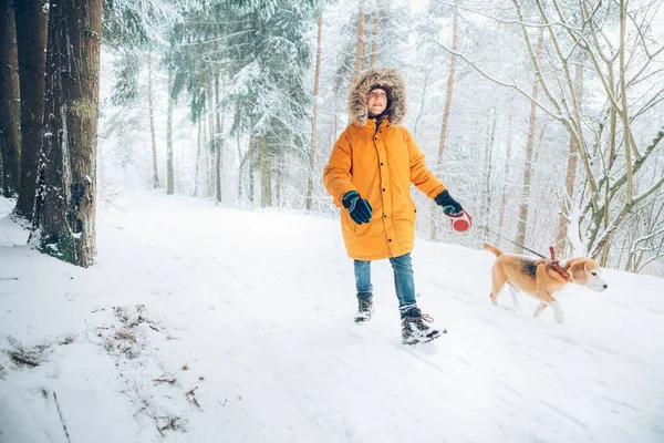 鮮やかな黄色のパーカーの少年は 雪に覆われた松林の中で彼のビーグル犬と歩く ペットと冬の衣装のコンセプトイメージで歩く — ストック写真