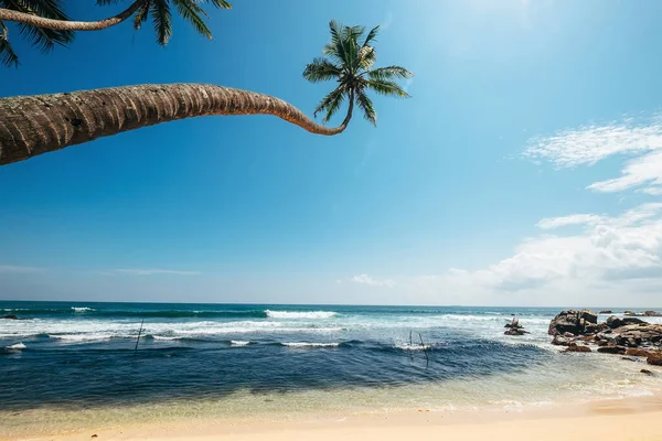 Uitzicht Oceaan Met Palmbomen Golven — Stockfoto