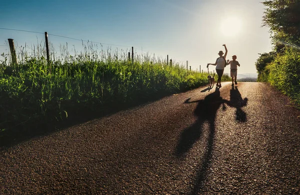 Mère Fils Chien Marchent Sur Route Coucher Soleil Campagne Font — Photo