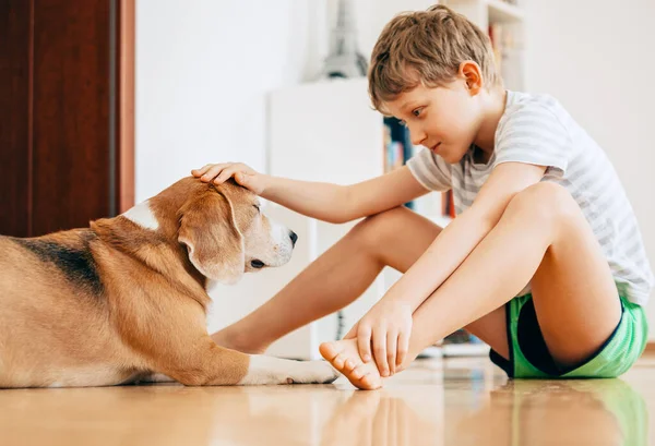 男の子と犬の間の公開シーン — ストック写真