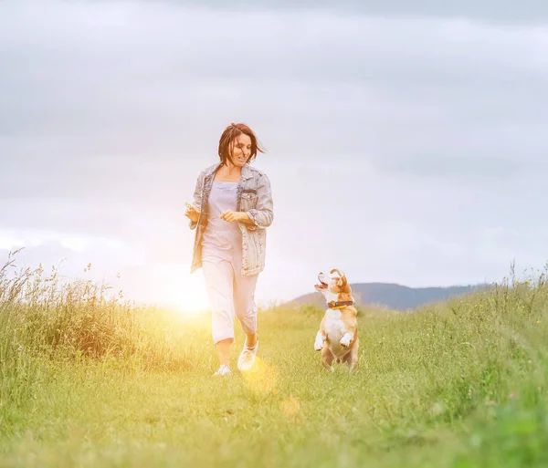 ひらひらと髪と彼女のビーグル犬を実行し 目を見て女性の笑みを浮かべてハッピージョギング ペットと自然の中で草原の草の道を歩く 健康的なアクティブな人々のライフスタイルのコンセプトイメージ — ストック写真