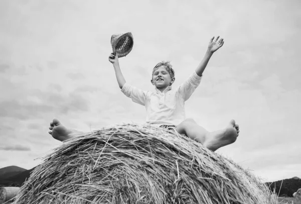 Glad Leende Pojke Sitter Toppen Rullande Höstack — Stockfoto